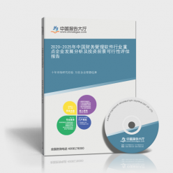 2020-2025年中国财务管理软件行业重点企业发展分析及投资前景可行性评估